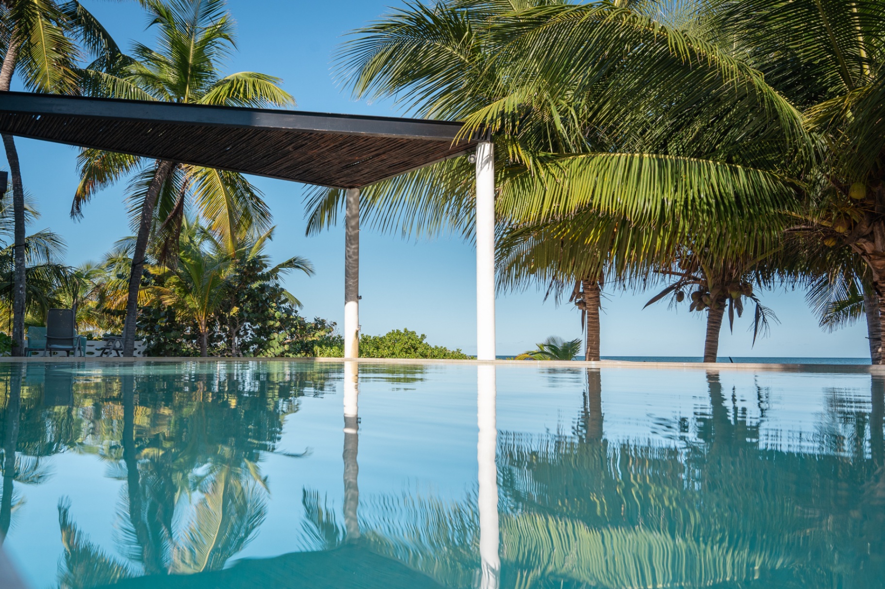 Infinity pool framed by palms with ocean view